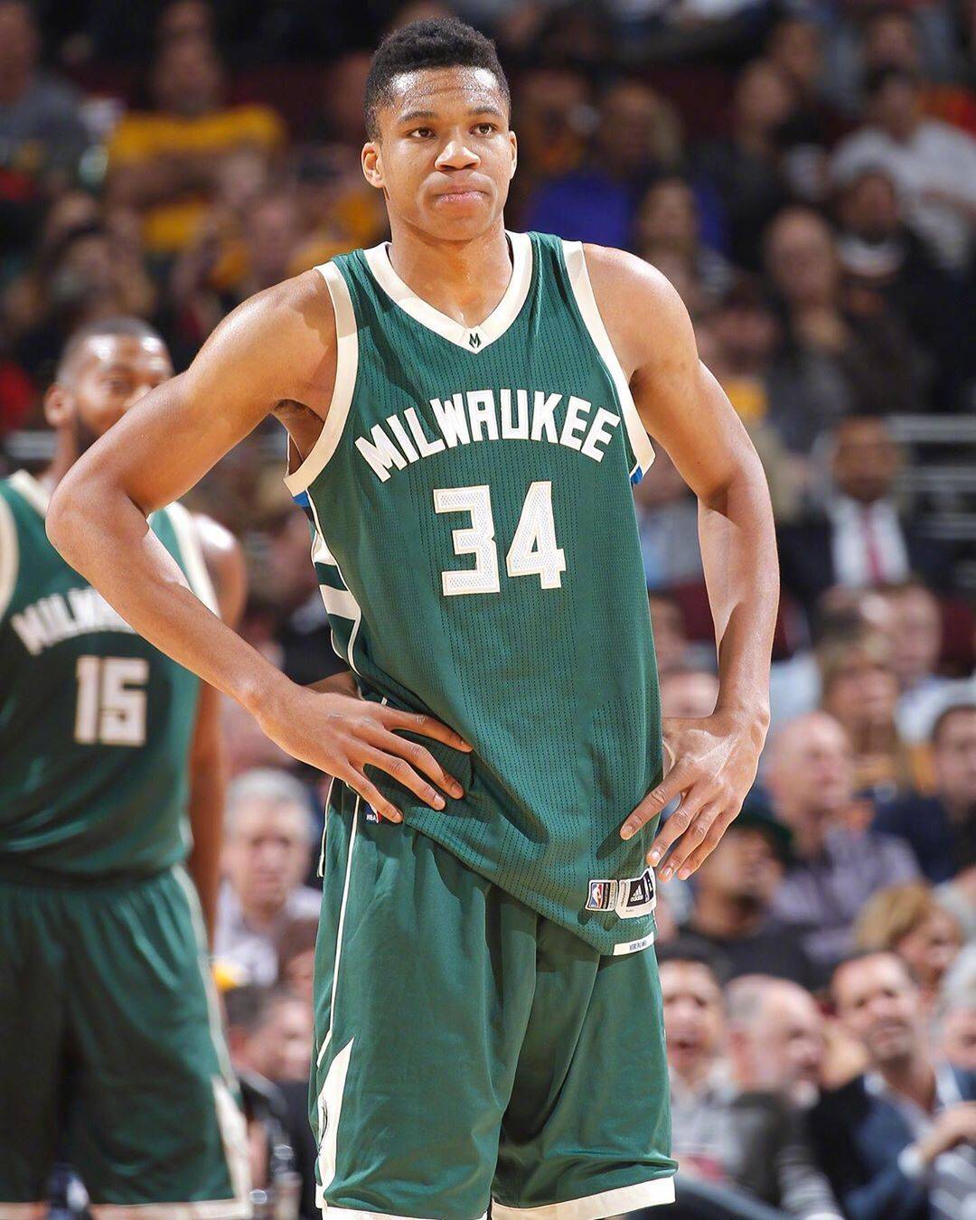 -包含慕尼黑雄鹿在主场战胜对手，豪取胜利的词条